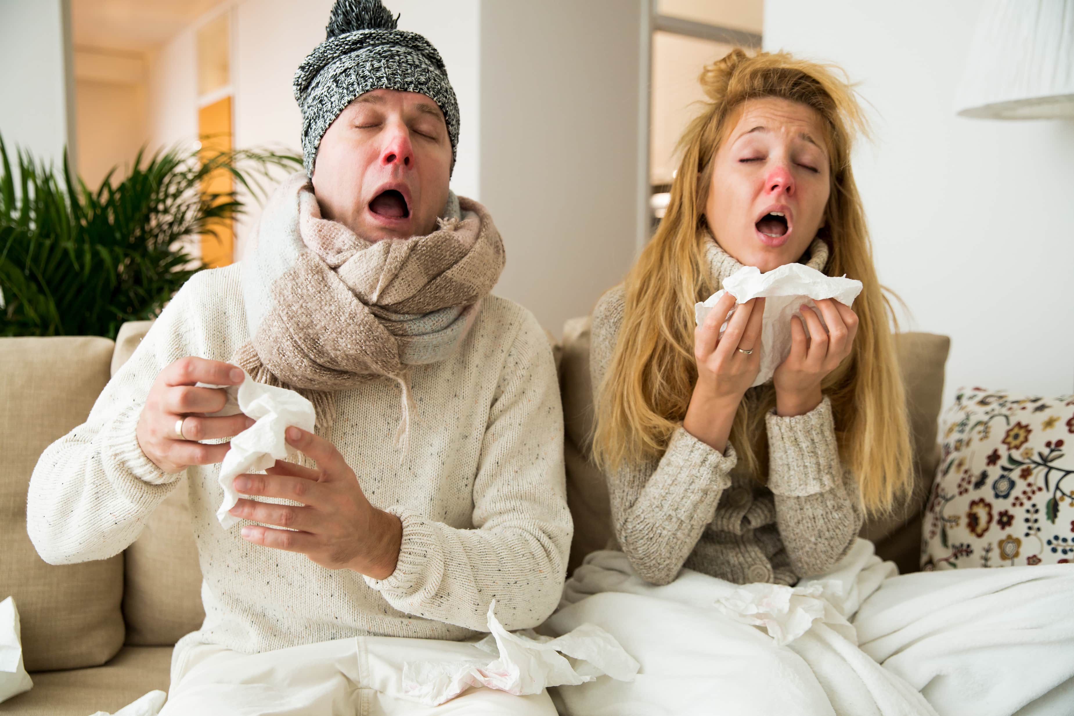 How to Boost Your Immune System for the Cold and Flu Season – Veestro